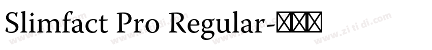 Slimfact Pro Regular字体转换